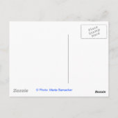 Vrijheidsbeeld Briefkaart (Achterkant)