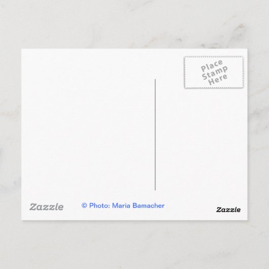 Vrijheidsbeeld Briefkaart (Achterkant)