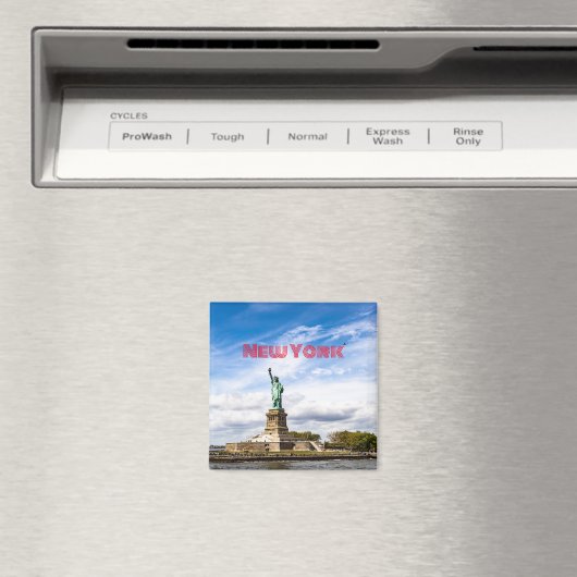 Vrijheidsbeeld Magneet (Insitu (Vaatwasser))