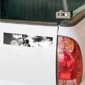 Vrijheidsbeeld New York City Bumpersticker (Op Truck)