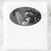 Vrijheidsbeeld Ovale Sticker (Tas)