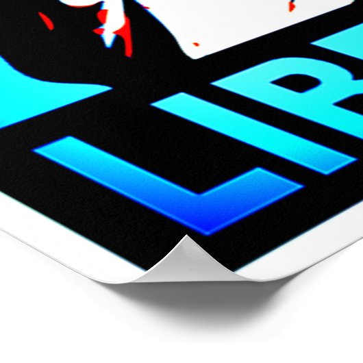 Vrijheidsbeeld Poster (Hoek)