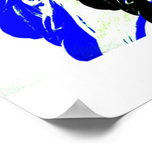 Vrijheidsbeeld poster (Hoek)