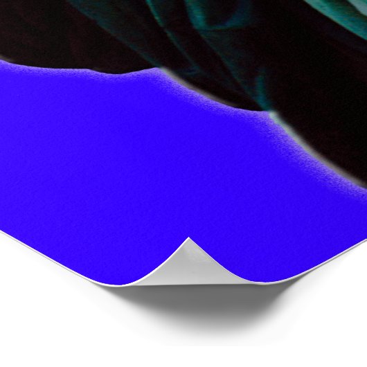 Vrijheidsbeeld van Posters (Hoek)