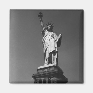 Vrijheidsbeeld Verenigde Staten New York Magneet
