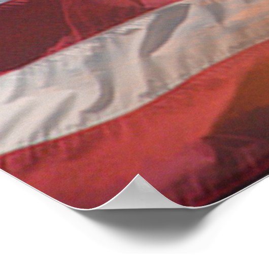 Vrijheidsbeeld VS-Poster Poster (Hoek)