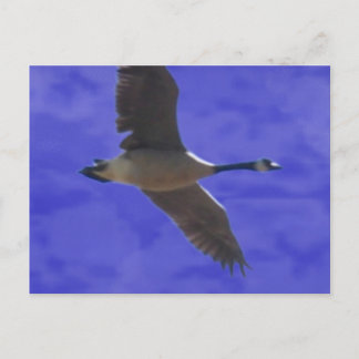 Vrijheidsberoering Briefkaart