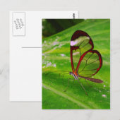 vrijmaken briefkaart (Voorkant / Achterkant)