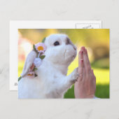 Vrijstelling van het bunny briefkaart (Voorkant / Achterkant)