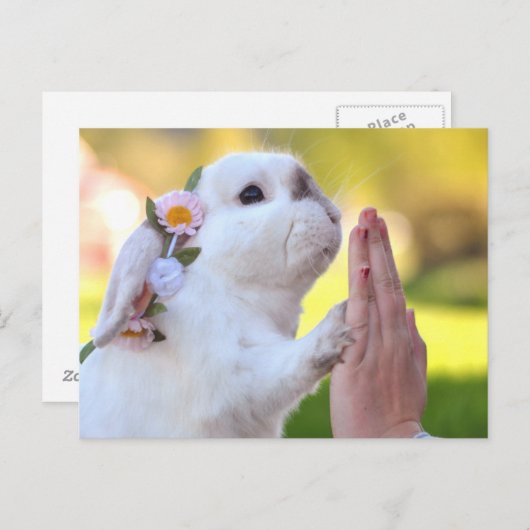 Vrijstelling van het bunny briefkaart (Voorkant / Achterkant)