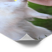 Vrijstelling van het bunny poster (Hoek)