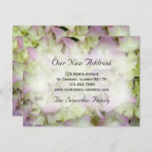 Vrijwel roze hydrangea — Aankondiging van nieuw ad (Voorkant / Achterkant)