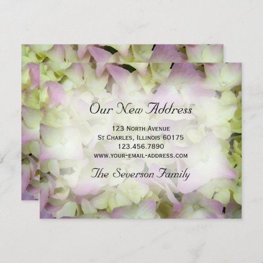 Vrijwel roze hydrangea — Aankondiging van nieuw ad (Voorkant / Achterkant)