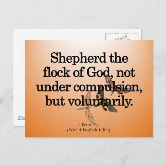 Vrijwilligerswerk 1 Peter 5-2 Briefkaart (Voorkant / Achterkant)