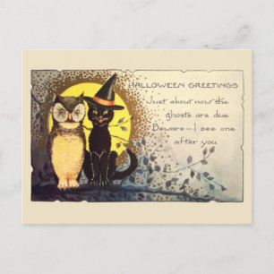 Vroeg 1900 Vriendelijke Kat en Uil Vintage Hallowe Briefkaart