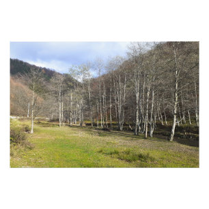 Vroeg Herfst bij de Rivier - Wilde Natuur Roemenië Foto Afdruk