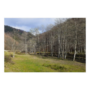 Vroeg Herfst bij de Rivier - Wilde Natuur Roemenië Perfect Poster