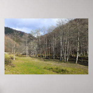 Vroeg Herfst bij de Rivier - Wilde Natuur Roemenië Poster