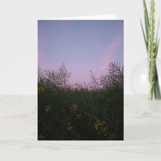 vroege avond onder het gebladerte kaart (Voorkant)