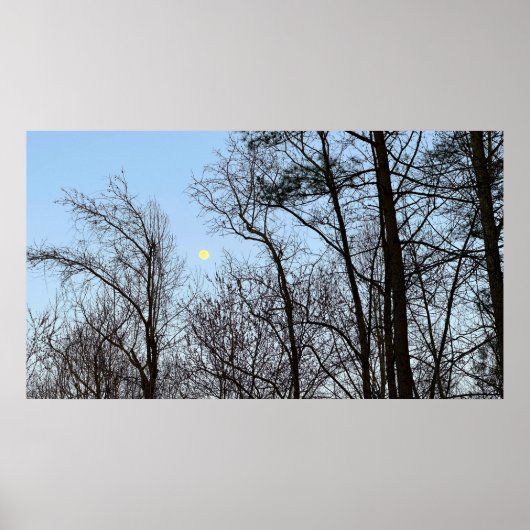 Vroege avondmaan, poster (Voorkant)