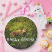 Vroege borden papieren bordje (Feest)