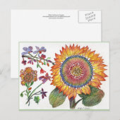 Vroege dag Zonnebloemkaartje Briefkaart (Voorkant / Achterkant)