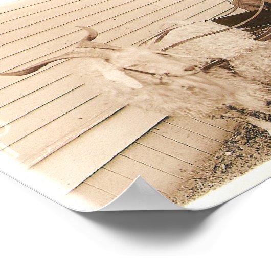 Vroege foto's van kinderen, punt 05 poster (Hoek)