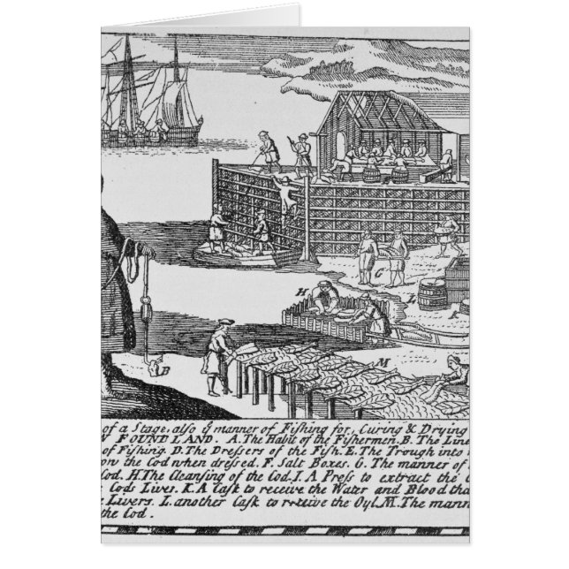 Vroege Geviste fasen (Voorkant)