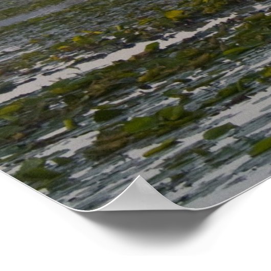 Vroege herfst zonlicht poster (Hoek)