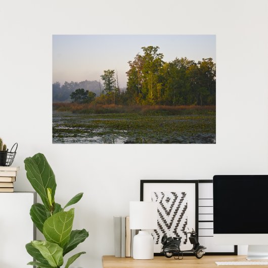 Vroege herfst zonlicht poster (Thuiskantoor)