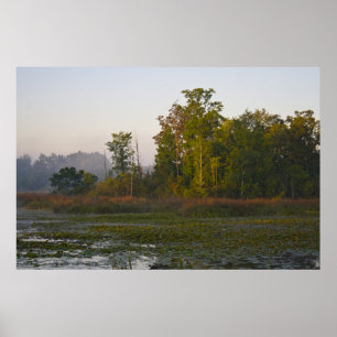 Vroege herfst zonlicht poster