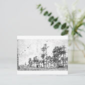 Vroege jaren, Mount Dora, FL Briefkaart (Staand voorkant)