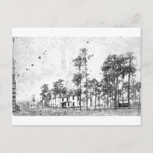 Vroege jaren, Mount Dora, FL Briefkaart (Voorkant)