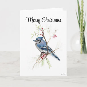 Vroege kerstblauwe Jay Holiday Card Kaart