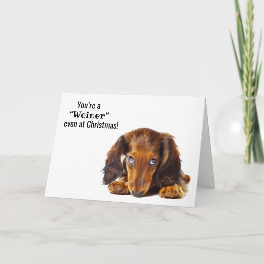 Vroege kerstdag van de Dog Animal Holiday Card Feestdagen Kaart (Voorkant)