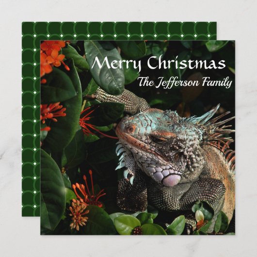 Vroege kerstfeestjes Pet Iguana-kaart (Voorkant / Achterkant)