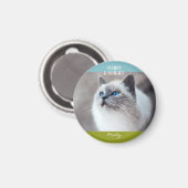 Vroege kerstfoto van Merry en Bright Cat Kitten Magneet (Voorkant / Achterkant)