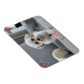 Vroege kerstfotokaart van Pet Magneet (Rechterzijde)