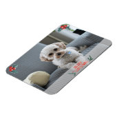 Vroege kerstfotokaart van Pet Magneet (Linkerzijde)