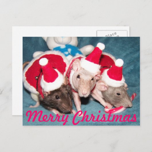 Vroege kerstkaart feestdagenkaart (Voorkant / Achterkant)