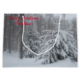 Vroege kerstlandscènes groot cadeauzakje