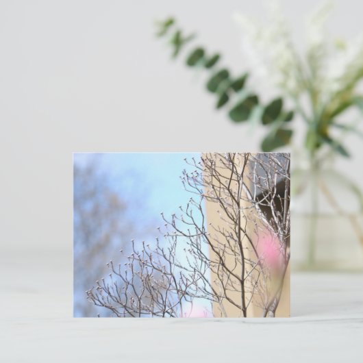 Vroege lentboom briefkaart (Staand voorkant)