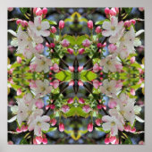 Vroege lente appelbloesems Abstract Poster (Voorkant)