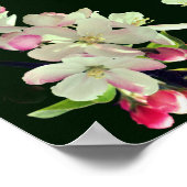 Vroege lente Apple bloeit Abstracte kunst Poster (Hoek)