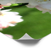 Vroege Lente Bloem Appelbloesems 2 Poster (Hoek)