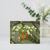 Vroege lente briefkaart (Staand voorkant)