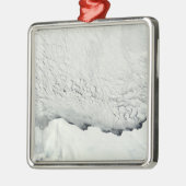 Vroege lente in de Antarctische wateren Metalen Ornament (Links)