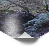 Vroege lente in het bos. Fotoprint Foto Afdruk (Hoek)