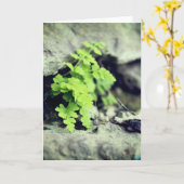 Vroege lente varen alle gelegenheden kaart (Gele Bloem)