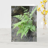 Vroege lente varen kaart (Gele Bloem)